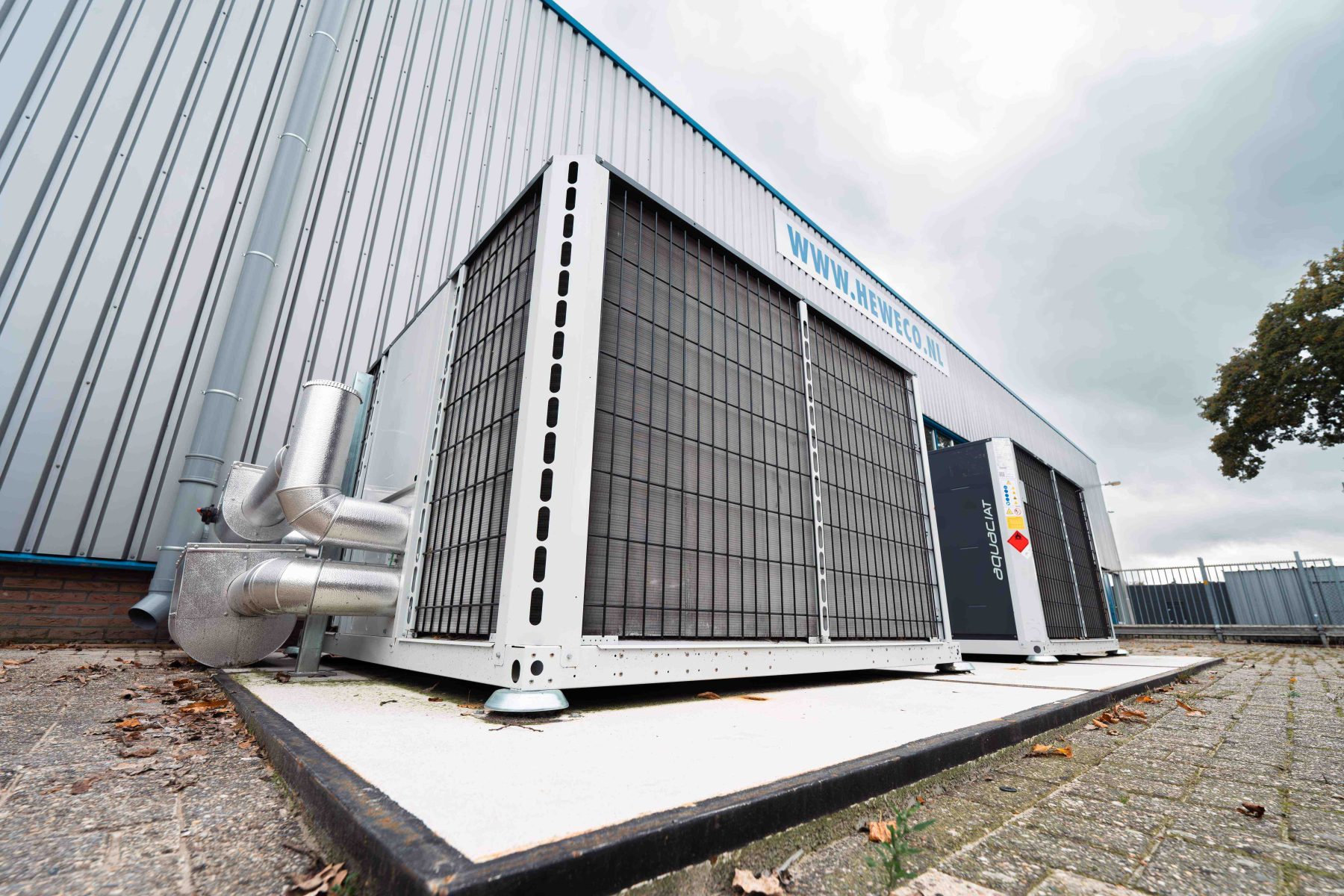 DSC03613 Verbeterd NR