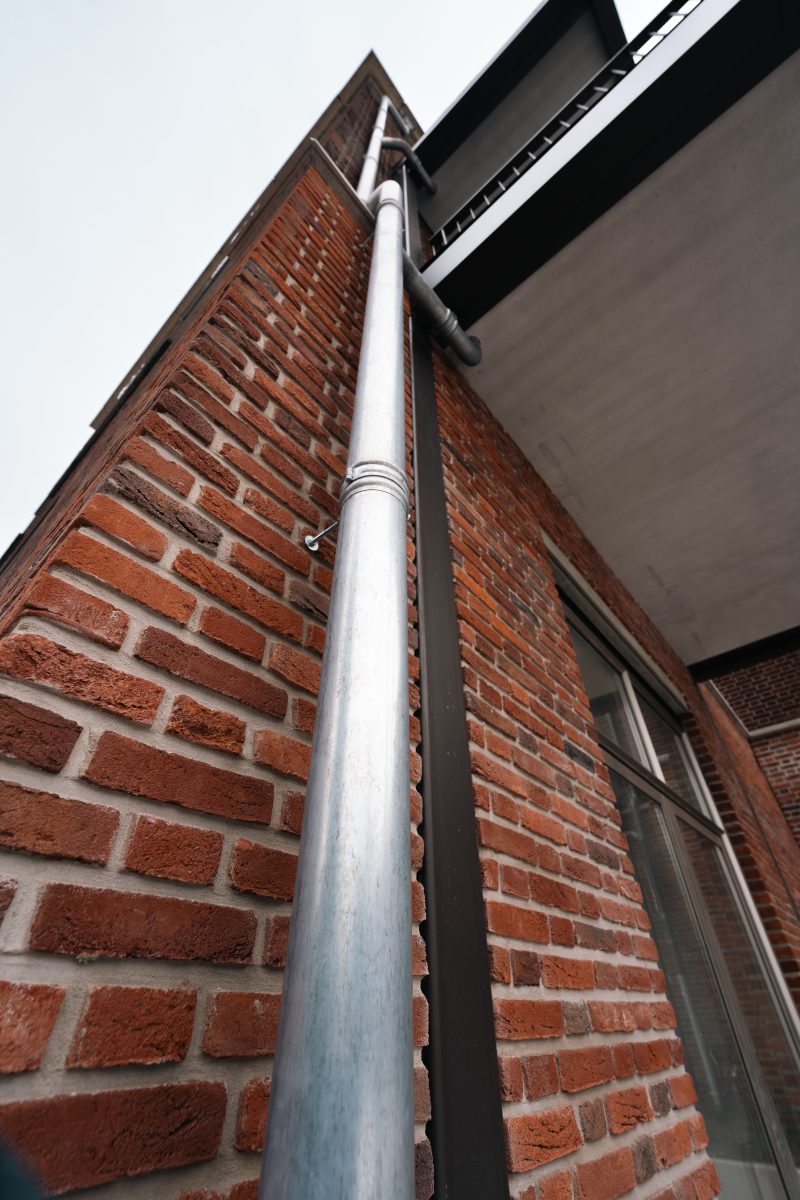 DSC09078 Verbeterd NR