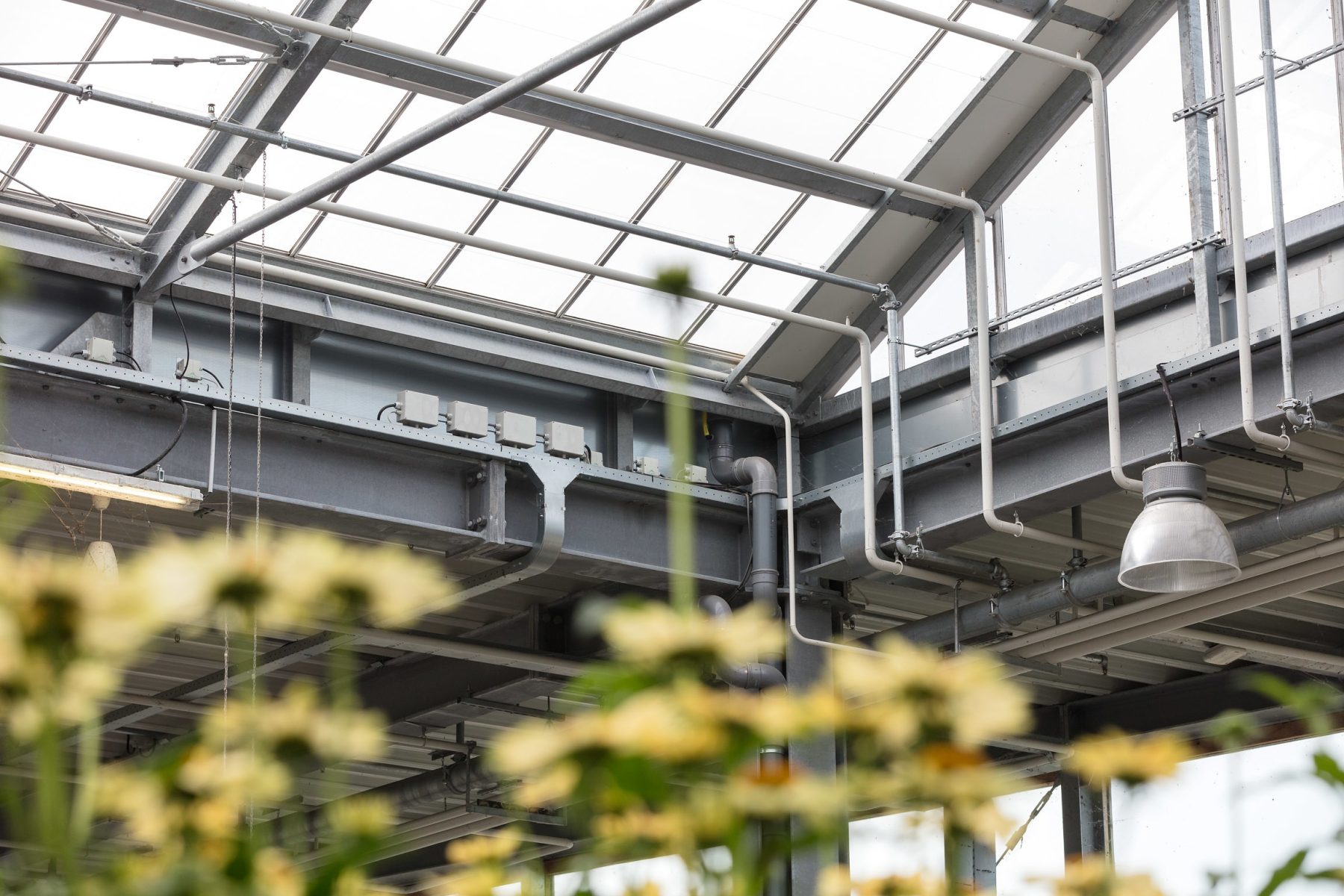 Loohuis installatie Emsflower verlichting verwarming