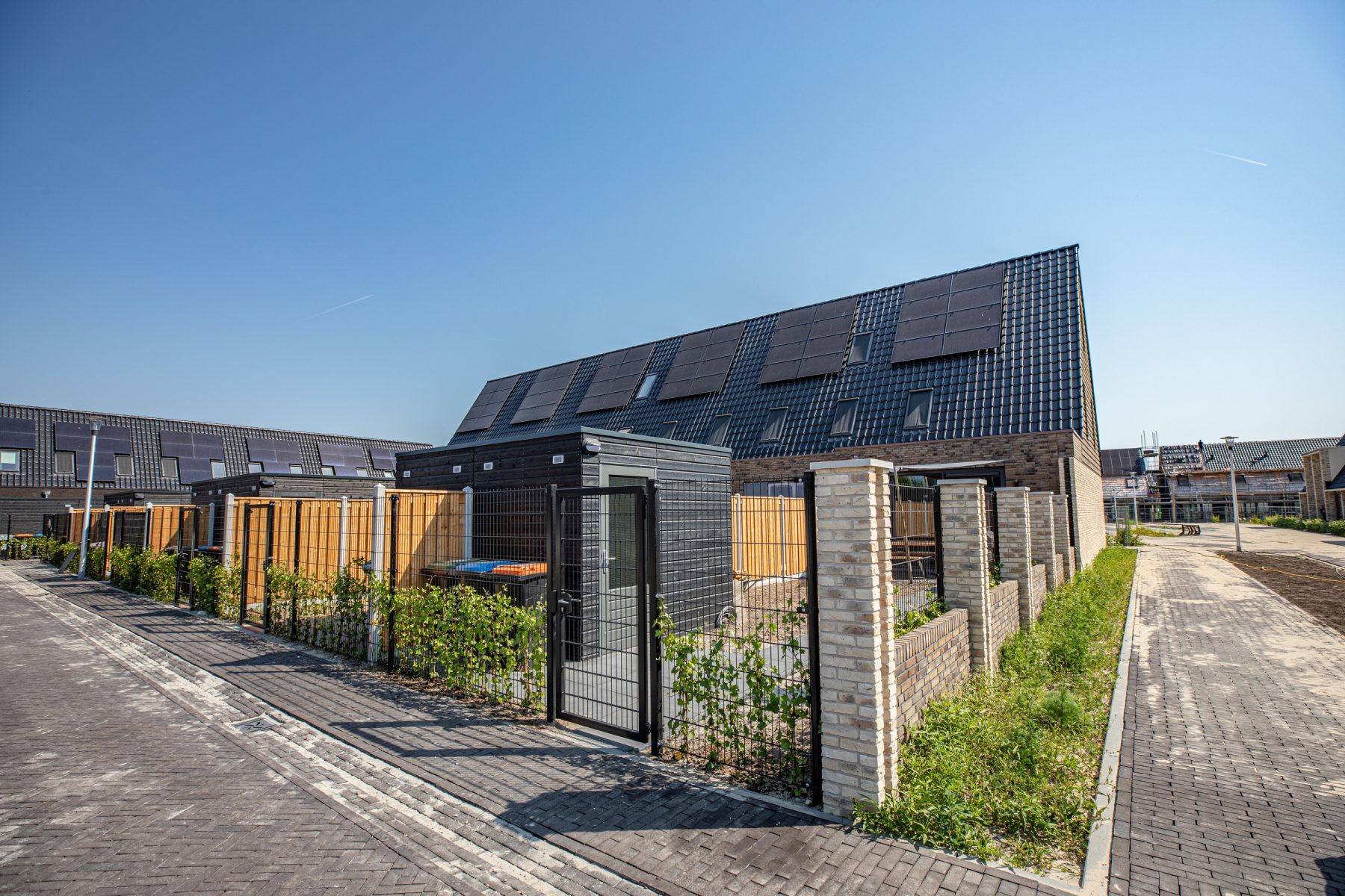 Nikkels Apeldoorn Wingerd fase 3 2023 06 6